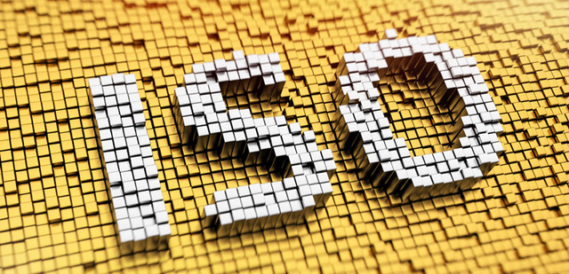 Primer Prototipo de la Organización