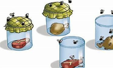 Teoría de la Generación espontánea