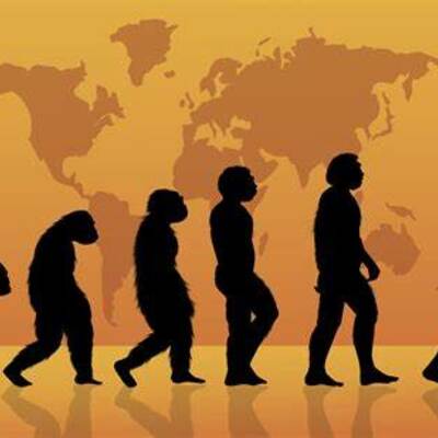 Timeline: Evolución Humana
