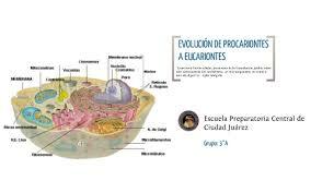 Evolución de la Eucariota hace 2 mil millones