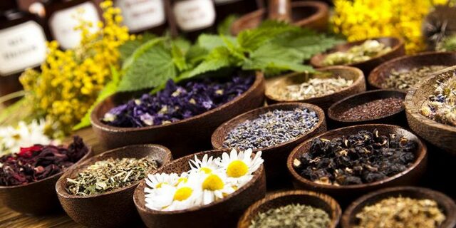 Medicina Natural (Naturopatía)