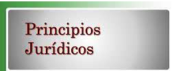 PRINCIPIOS JURIDICOS