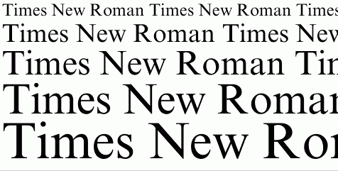 Times New Roman