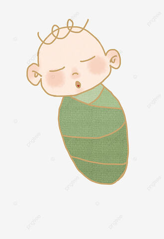 The Start of my Journey