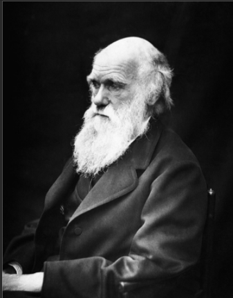 Origin of Species by Charles Darwin