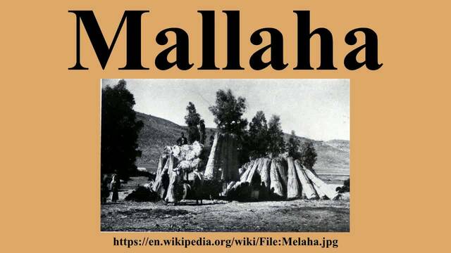 Occupation du village de Mallaha (  Israël  )