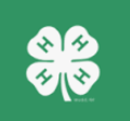 4-H Founded
