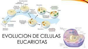 Evolución Procariota 2.7 millones de años