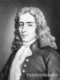 René Antoine Ferchault Estudia a Varias Especies Observando sus Características