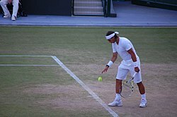 2nd Wimbledon, Golden Slam in Career and return to number 1