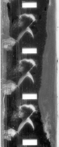 Découverte du celluloïd