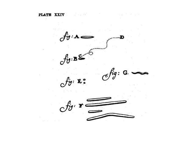 Descubrimiento de bacterias