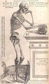 Nacimiento de la Anatomía Comparada