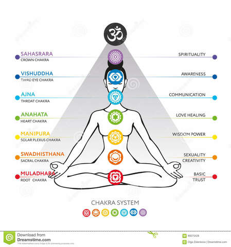 MEDICINA  AYURVÉDICA