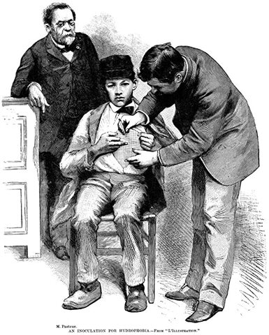 Pasteur crea la primera vacuna contra la hidrofobia y es aplicada en humanos con resultados exitosos.