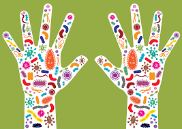 La teoría microbiana