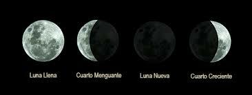 TEORÍA COSMICA O SIDERAL