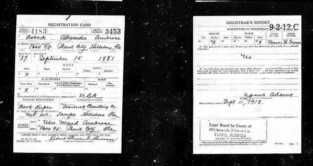 Birth of Robert Alexander Ambrose