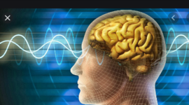 Timeline: EL SUEÑO Y SUS  ETAPAS