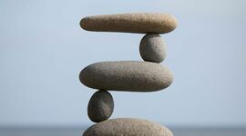 Timeline: La política y el bien común