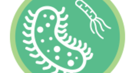 Timeline: Historia de la FITOPATOLOGÍA