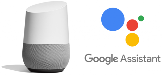 Google Virtual Assistant