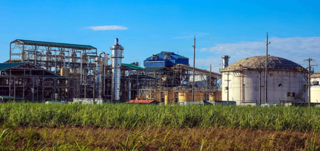 La verdadera industria