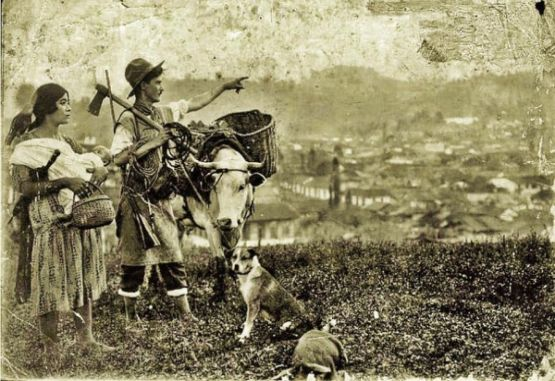 Colonización Antioqueña