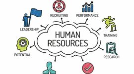 Timeline: Gestión del Talento Humano
