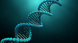 Timeline: The History of DNA