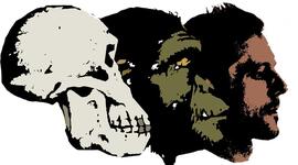 Timeline: Posturas de la evolución