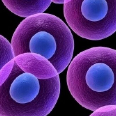 Timeline: TEORÍA EVOLUCIÓN CELULAR