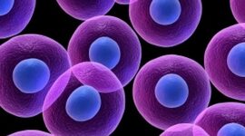 Timeline: TEORÍA EVOLUCIÓN CELULAR