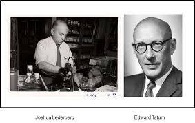 Joshua Lederberg y Edward Lawrie Tatum
