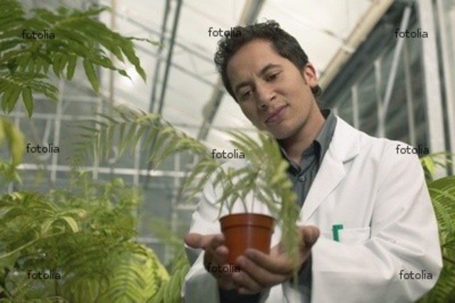 Museum use his book of plants