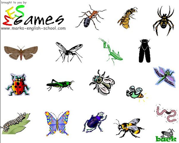 Lecture at museum about evolution