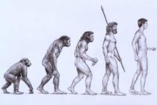 Beggining of evolution thinking