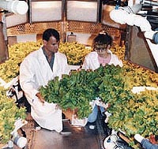 His first job of science