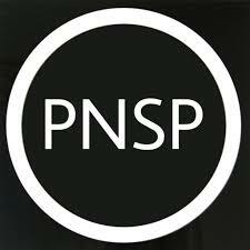 Creación del Partido Nacional de Salvación Pública