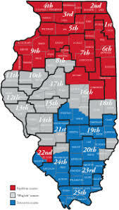 Illinois Senate race