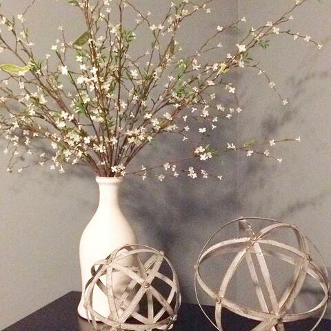 Rental housing in Nicosia