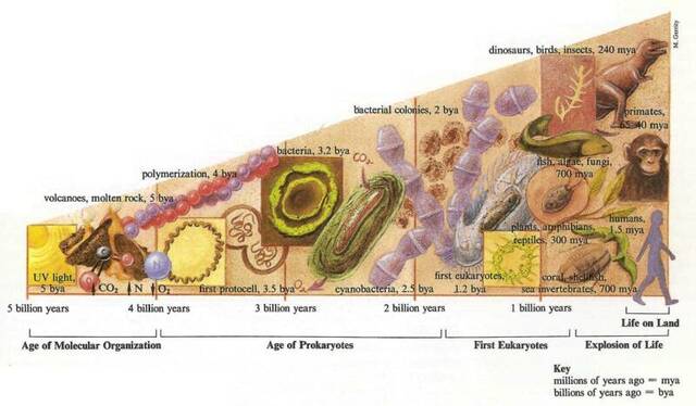 inicios de las bacterias