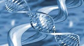 Timeline: Frederick Sanger