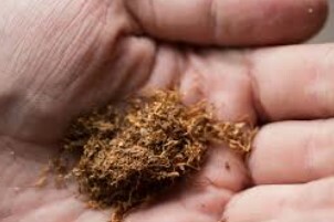 Tobacco Saves Jamestown