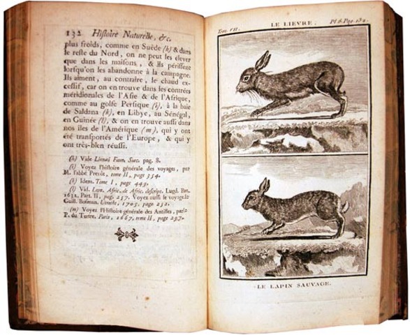 L'histoire Naturelle