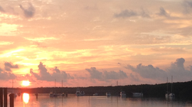 Timeline: The Eighteenth Century 1700-1800