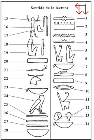 Sentido de lectura (Thomas Young)