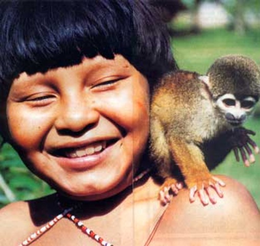 El reconocimiento de los indigenas