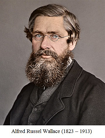 Alfred Russel Wallace