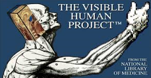 Aportes en la Medicina